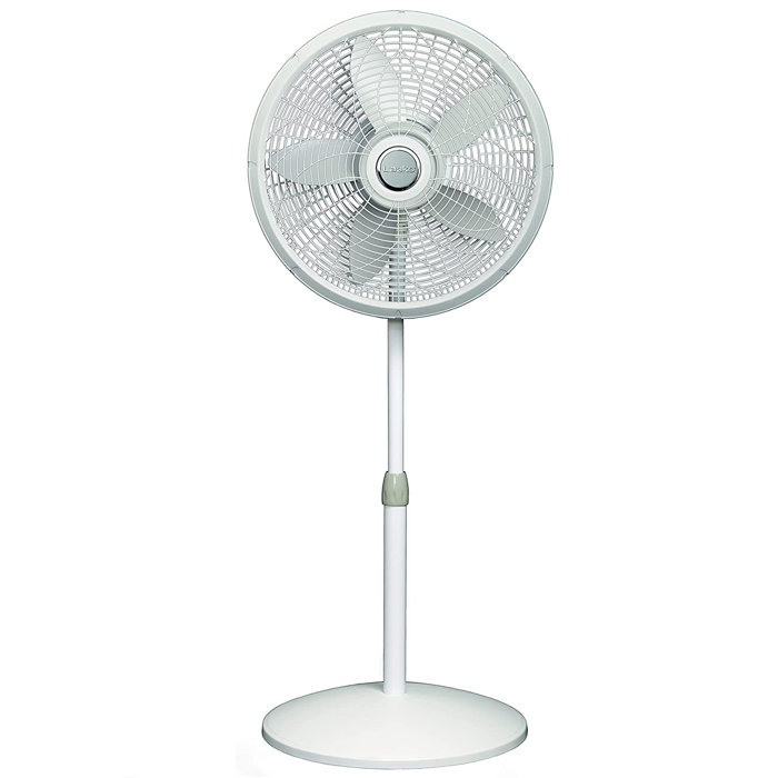 Lasko 18" Oscillating Pedestal/Standing Fan & Reviews Wayfair Canada